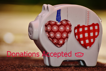 A ceramic piggy bank with patterned love hearts attached to its sides, with the phrase 'donations accepted' underneath. 